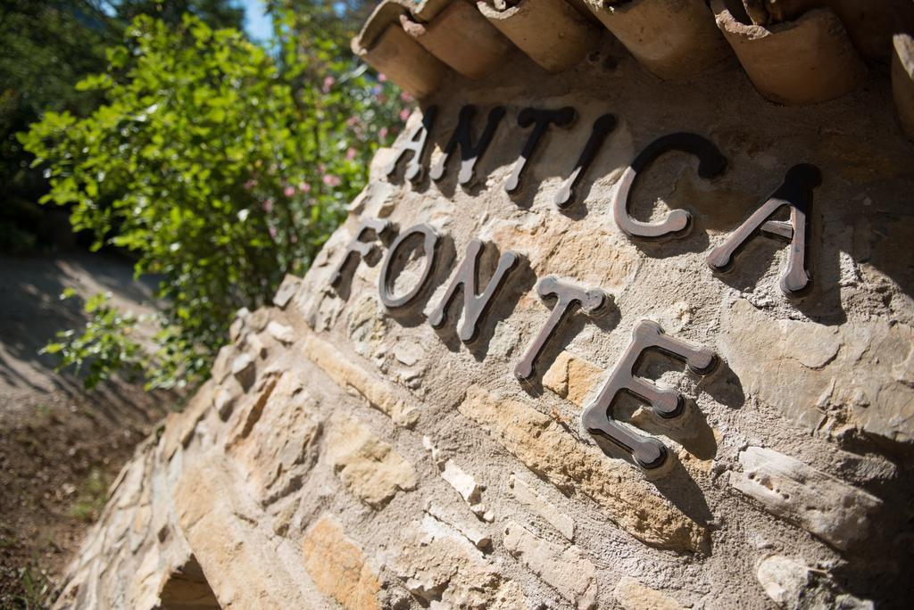 Antica Fonte Guest House Assisi Exterior photo